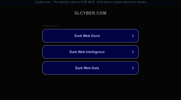 slcyber.com