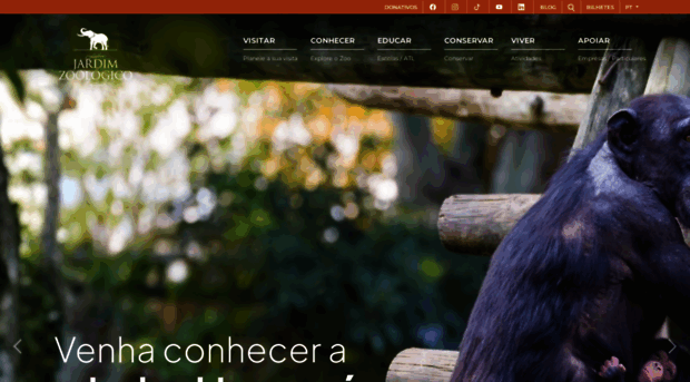 zoo.pt